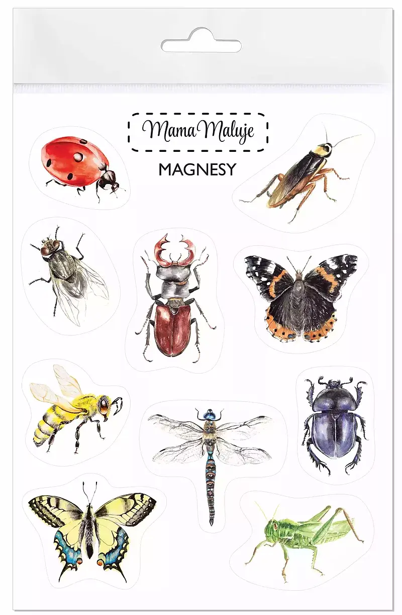 Magnesy owady