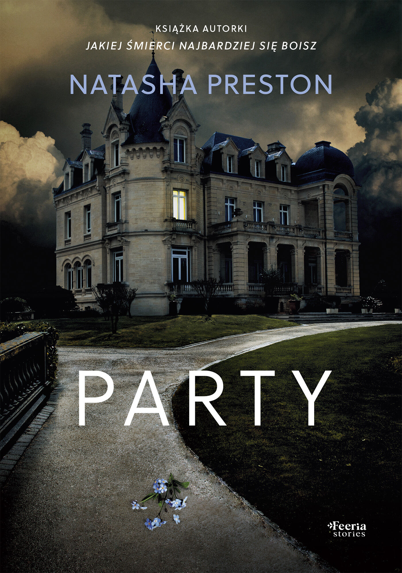 Party (e-book)