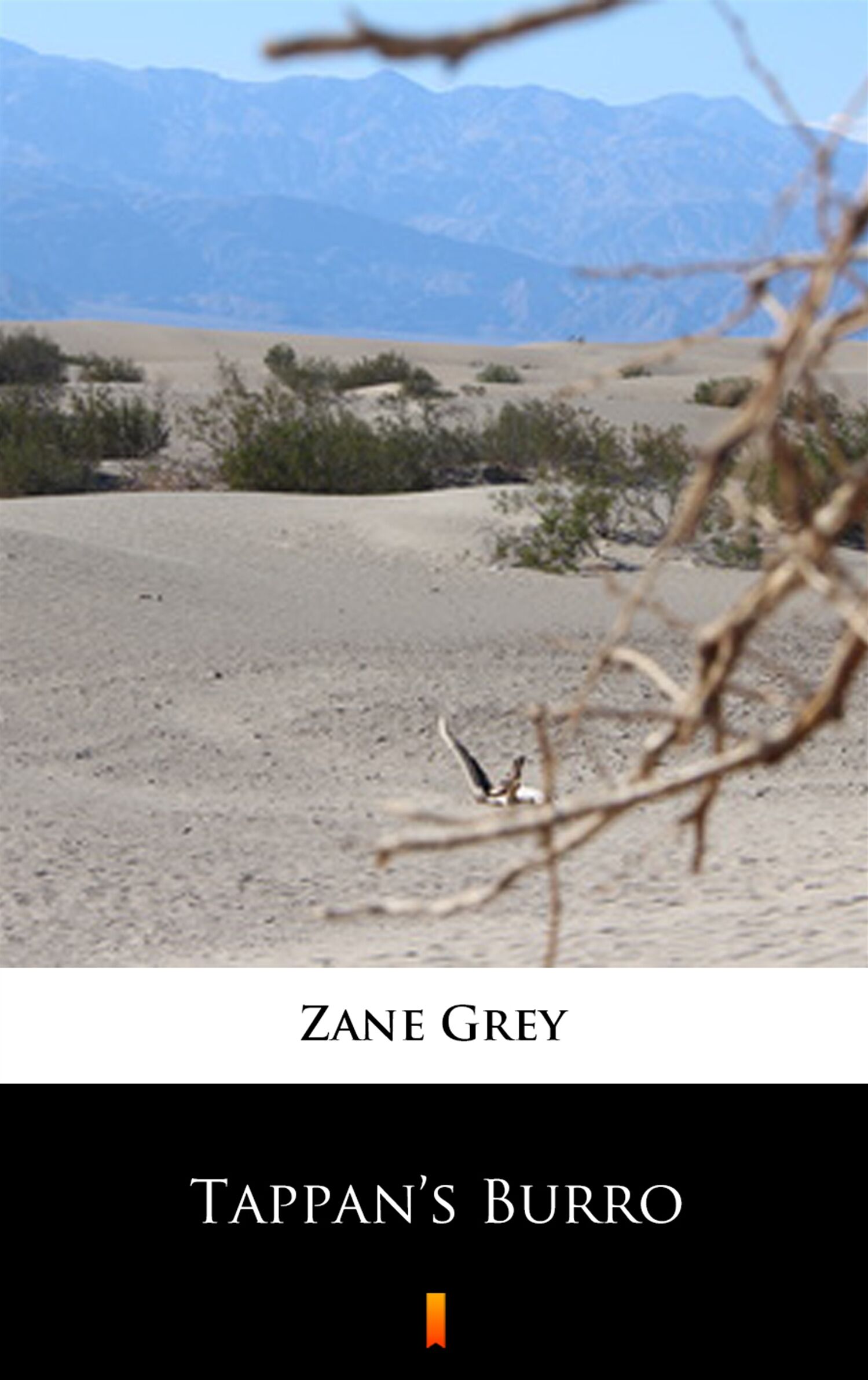 Tappan’s Burro (e-book)