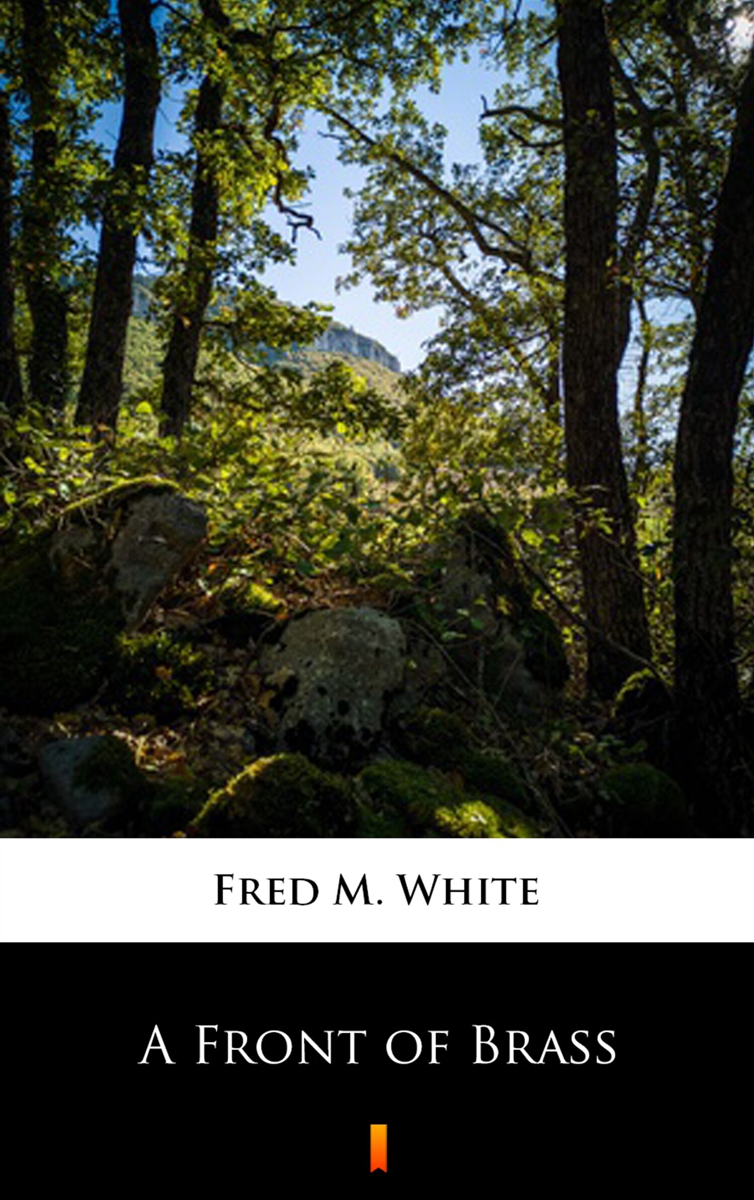 A Front of Brass (e-book)