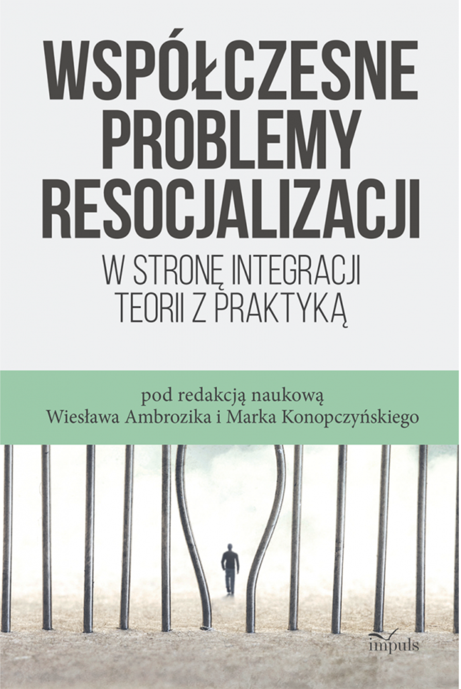 Współczesne problemy resocjalizacji