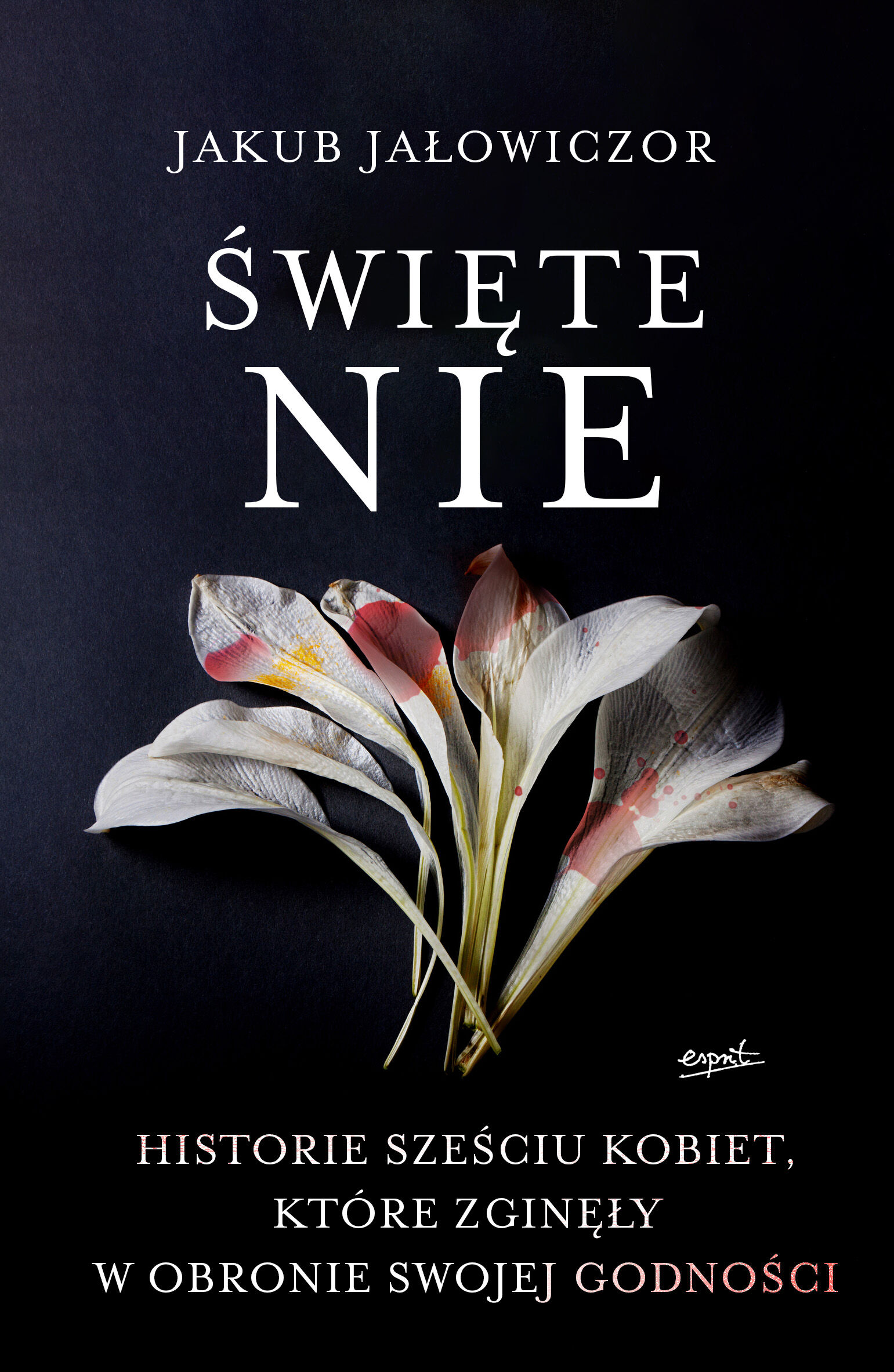 Święte Nie (e-book)