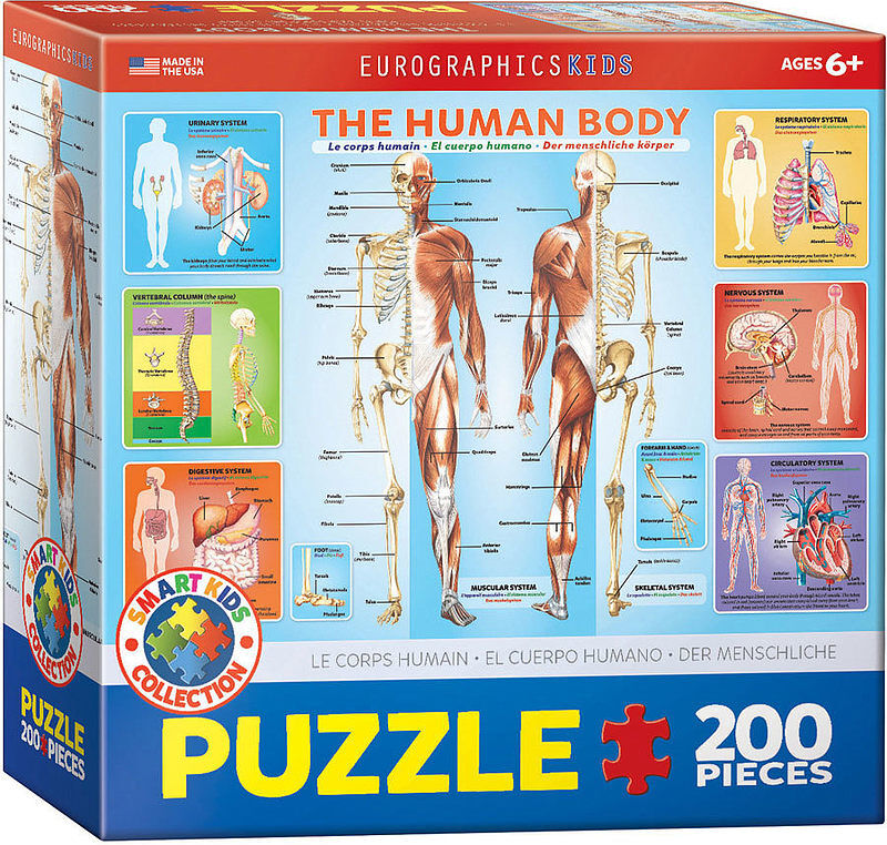 Puzzle 100 smartkids the human body 6200-1000