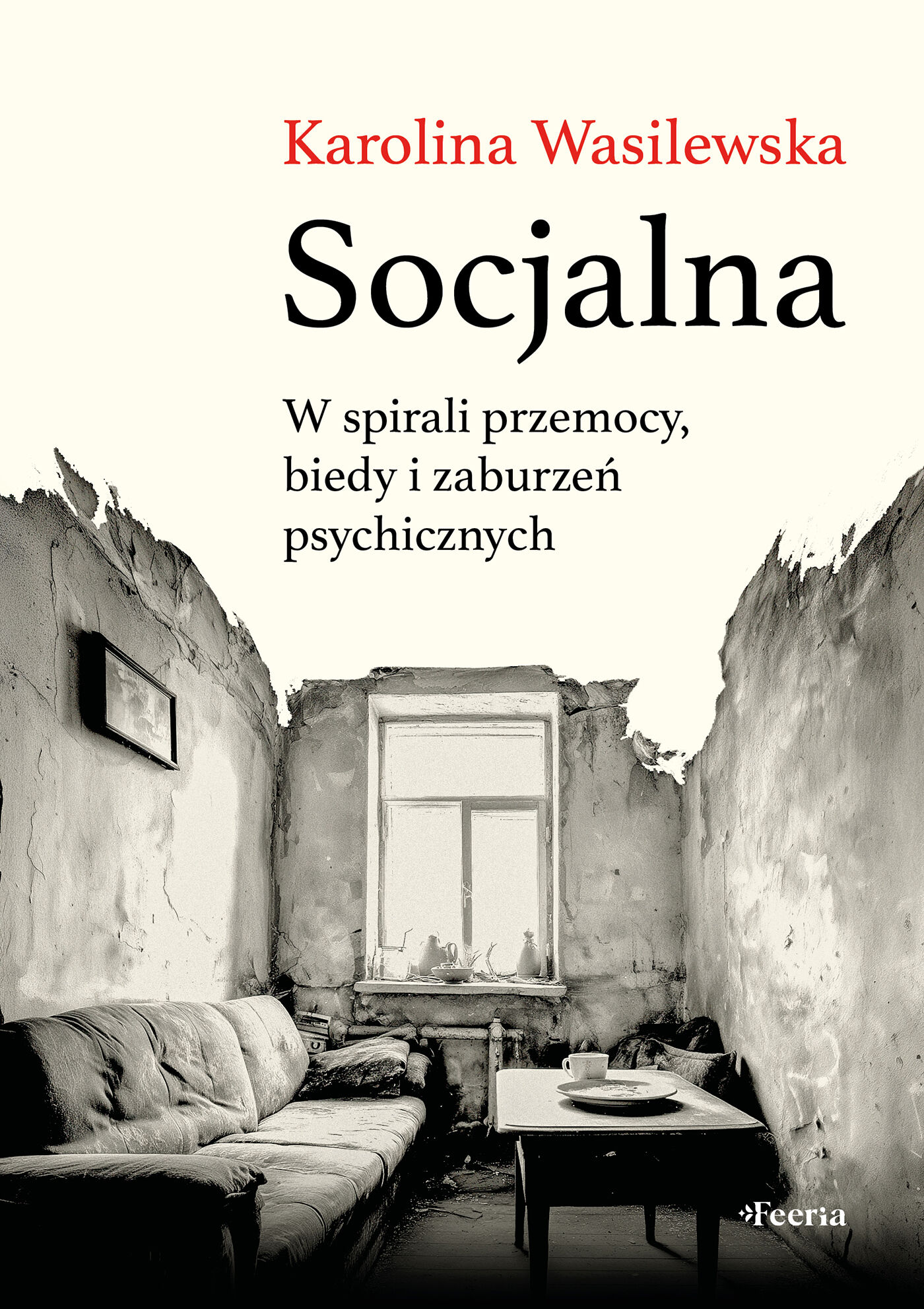 Socjalna (e-book)