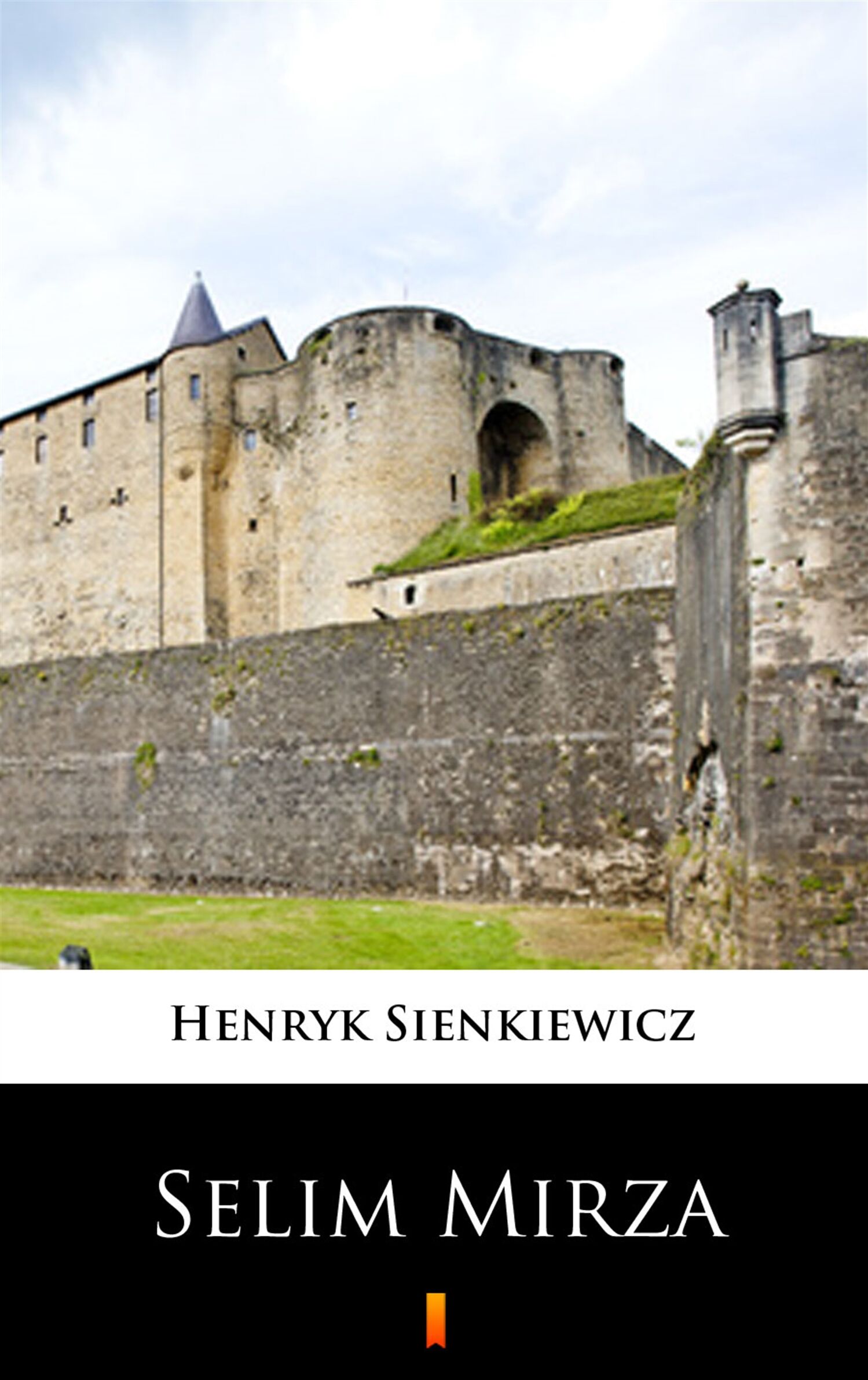 Selim Mirza (e-book)