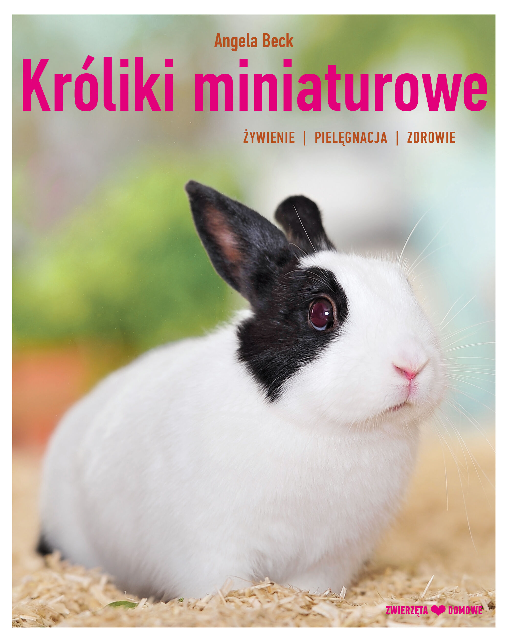 Kroi miniaturowe. Hodowla