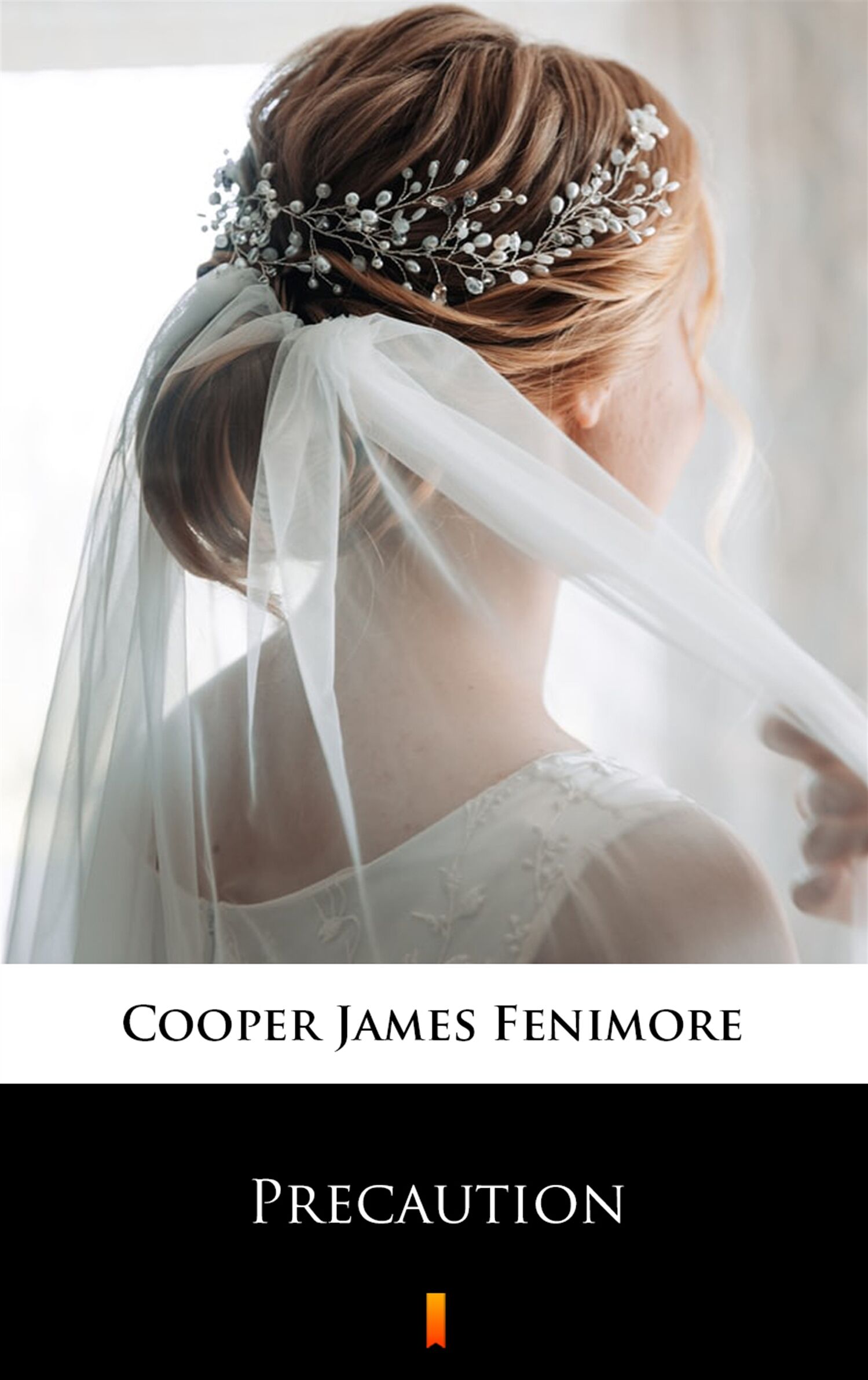 Precaution (e-book)