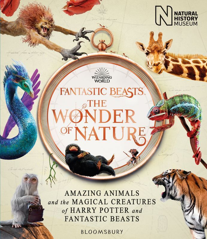 Fantastic Beasts. The Wonder of Nature. Amazing Animals and the Magical Creatures of Harry Potter and Fantastic Beasts wer. angielska