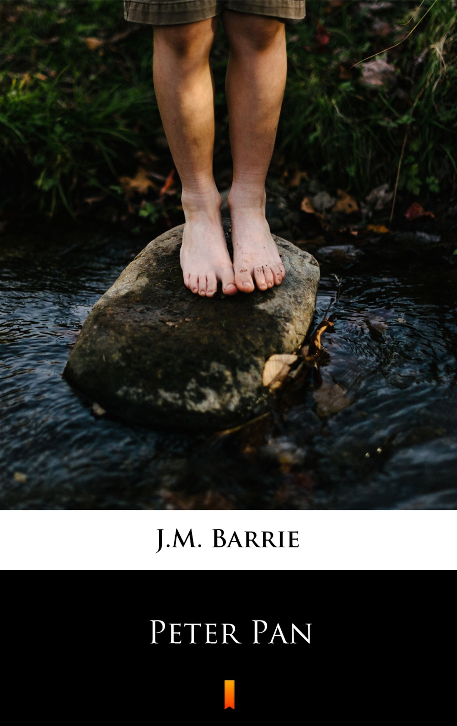 Peter Pan (e-book)