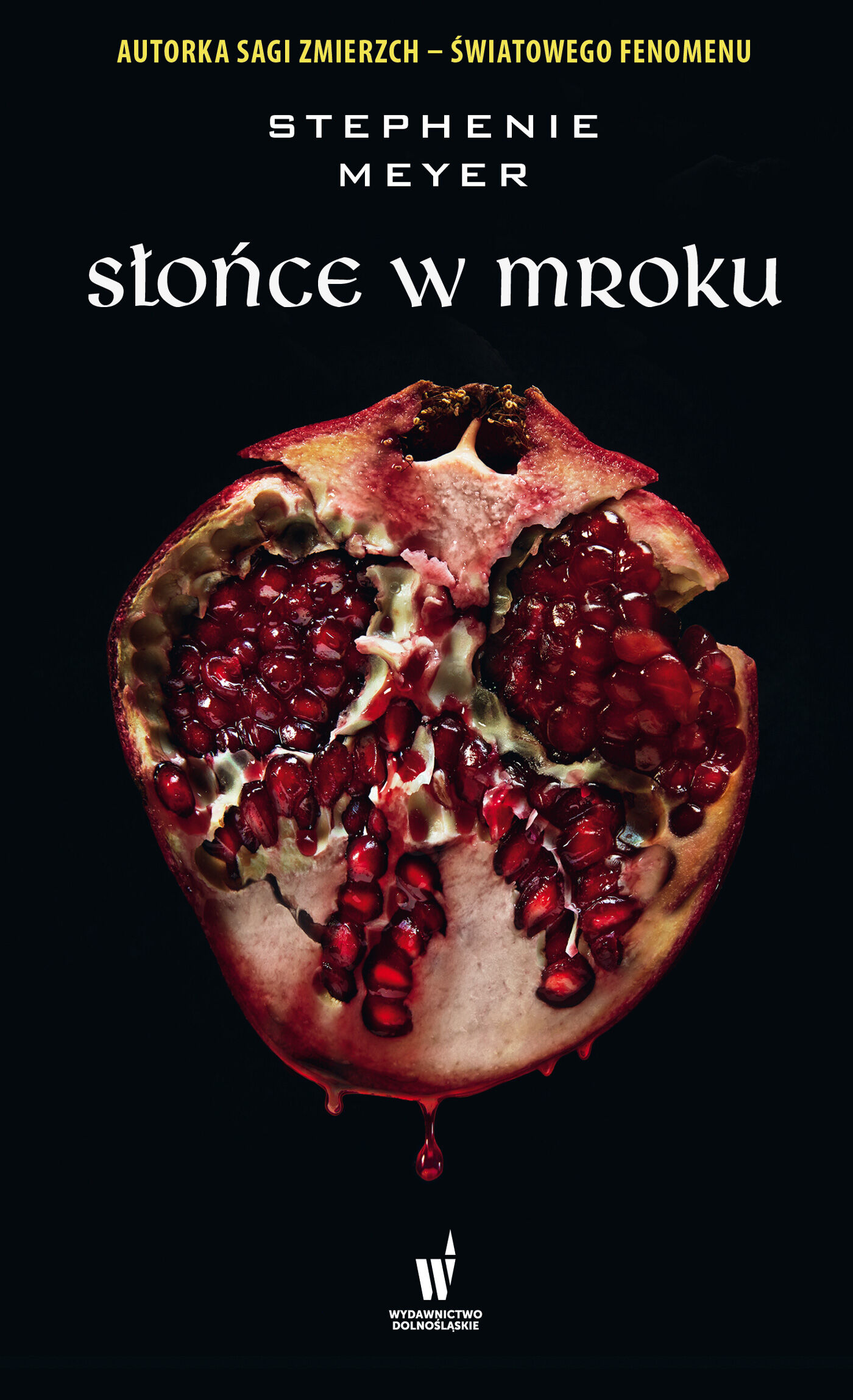 Słońce w mroku (e-book)
