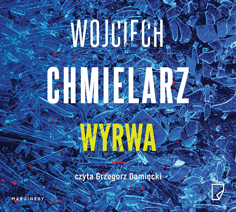 Wyrwa (audiobook CD)
