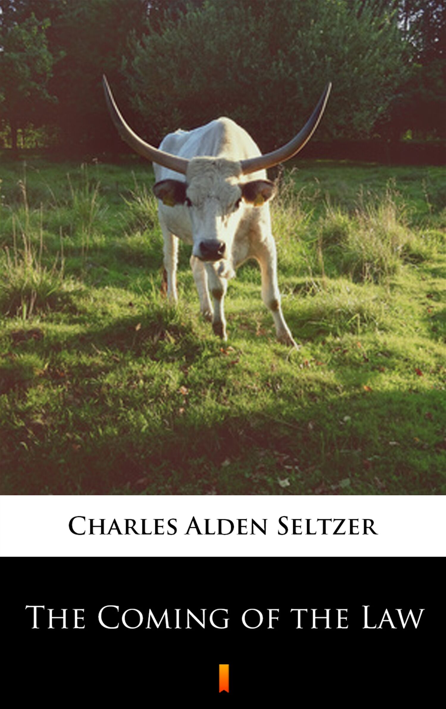 The Coming of the Law (e-book)