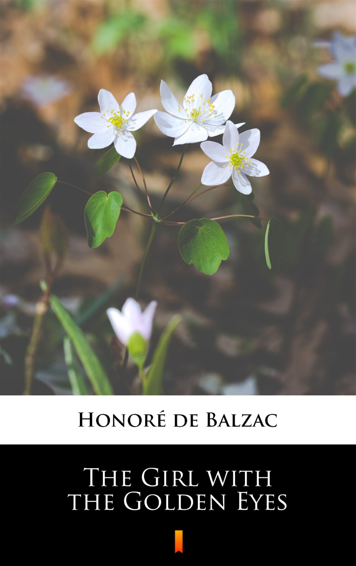The Girl with the Golden Eyes (e-book)