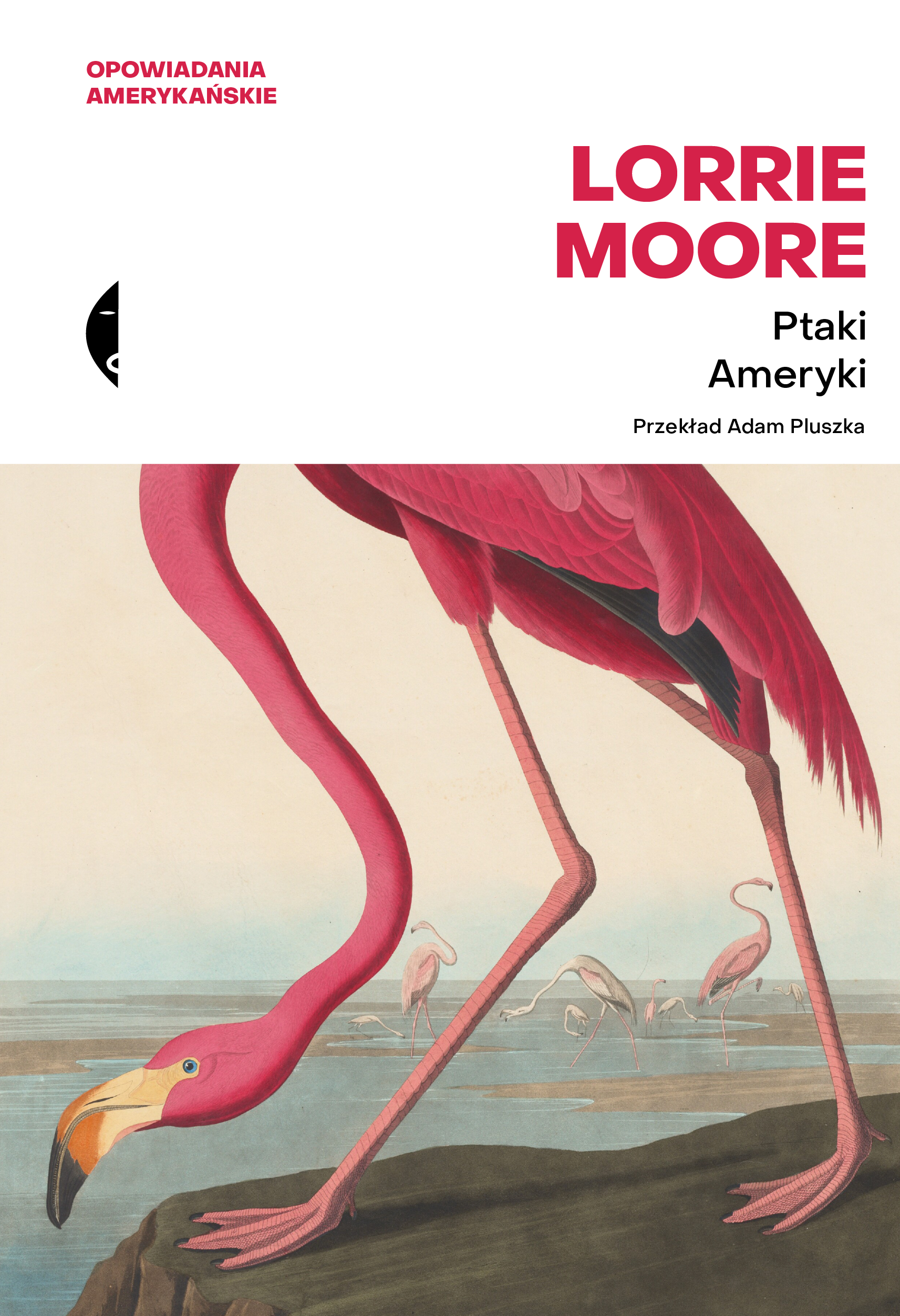 Ptaki Ameryki (e-book)