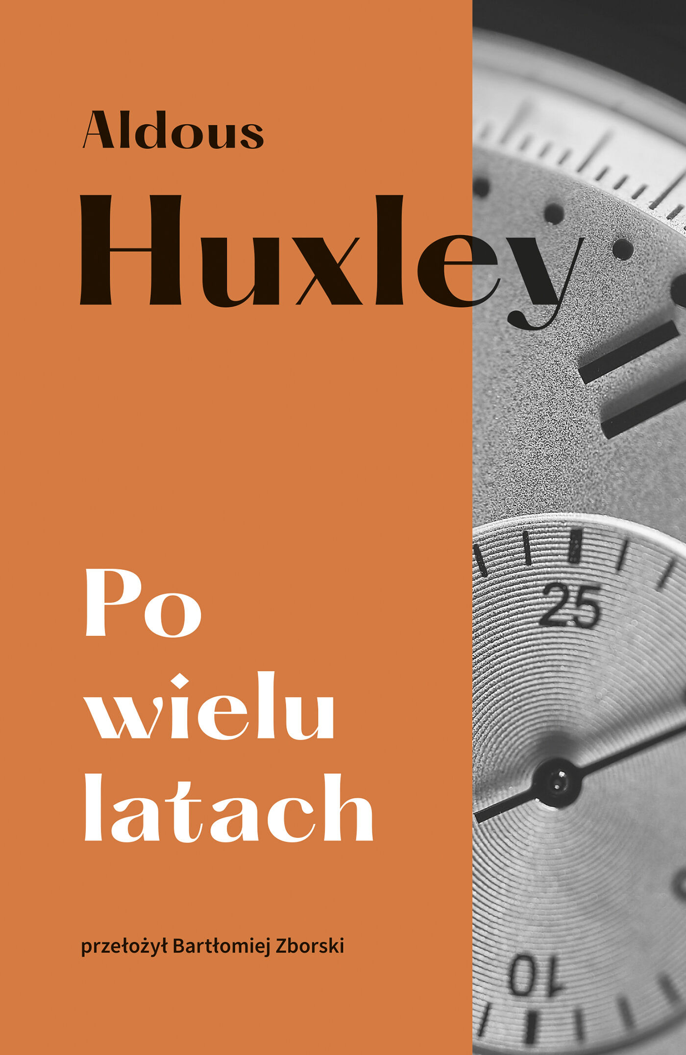 Po wielu latach (e-book)