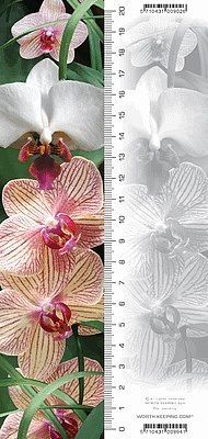 Zakładka 3d orchidea