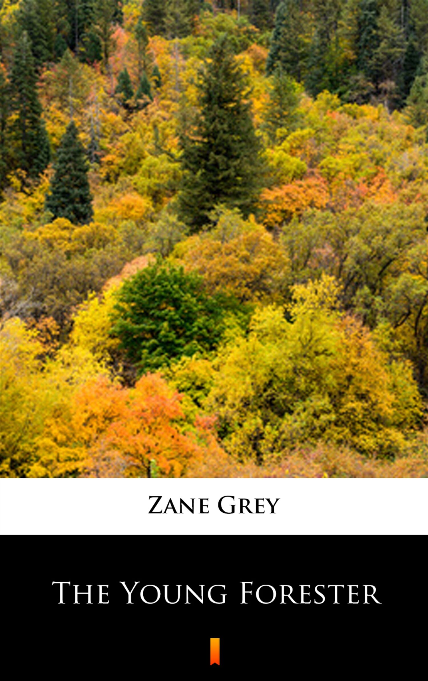 The Young Forester (e-book)