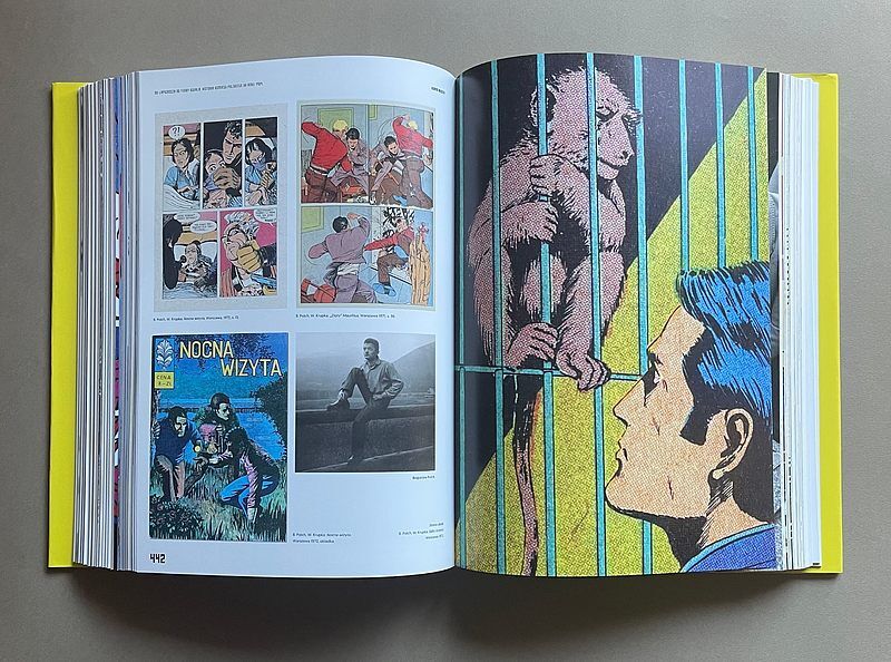 Od Łapigrosza do Funky'ego Kovala. Historia komiksu polskiego do roku 1989