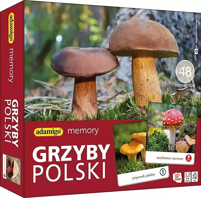 Gra memory grzyby polski