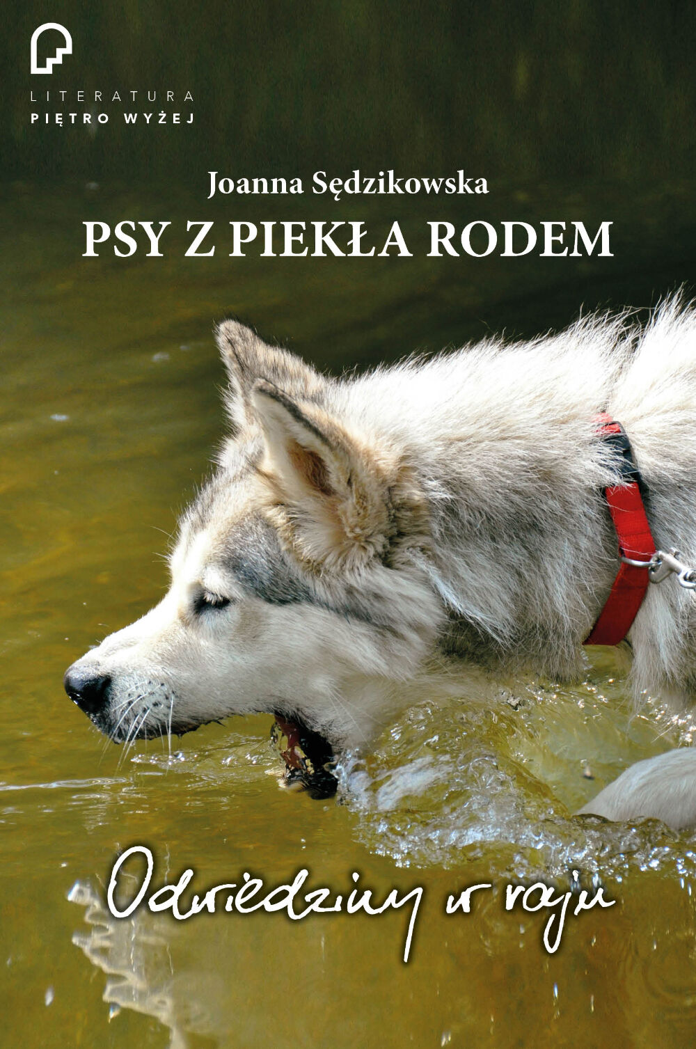 Psy z piekła rodem