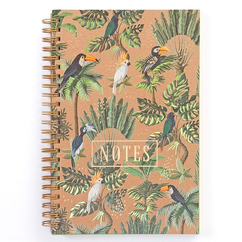 Notes Jungle II