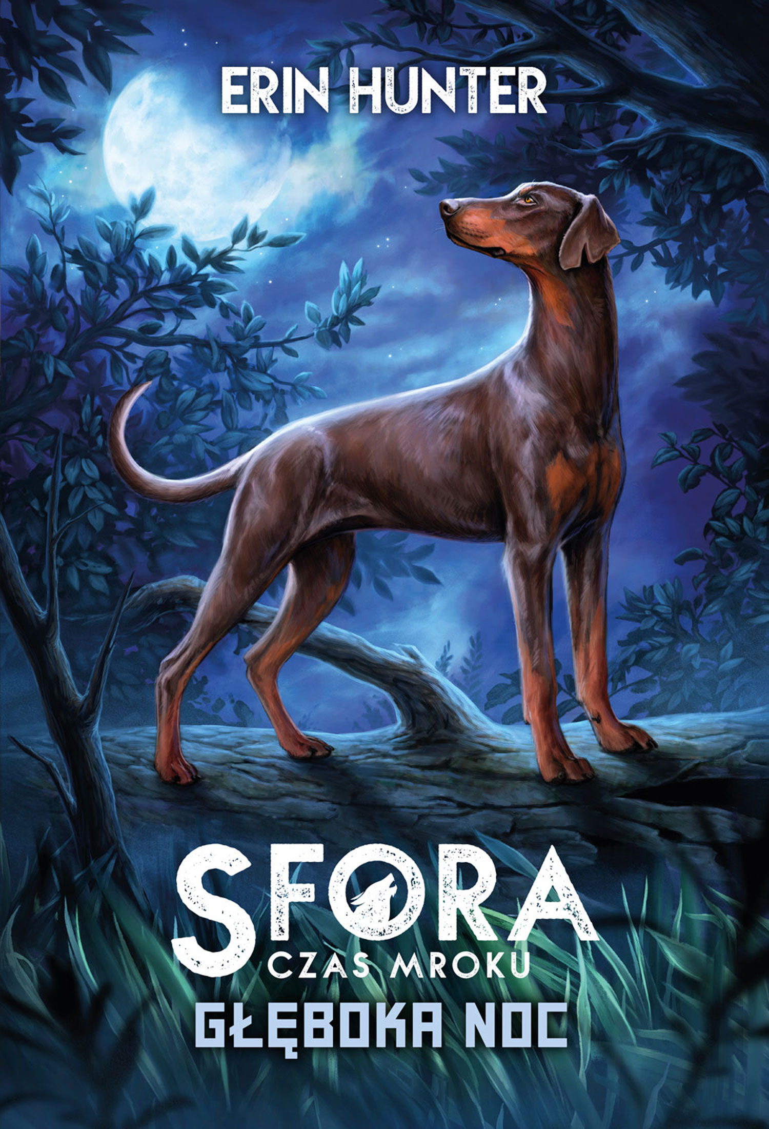 Głęboka noc. Sfora. Czas mroku tom 2 (e-book)