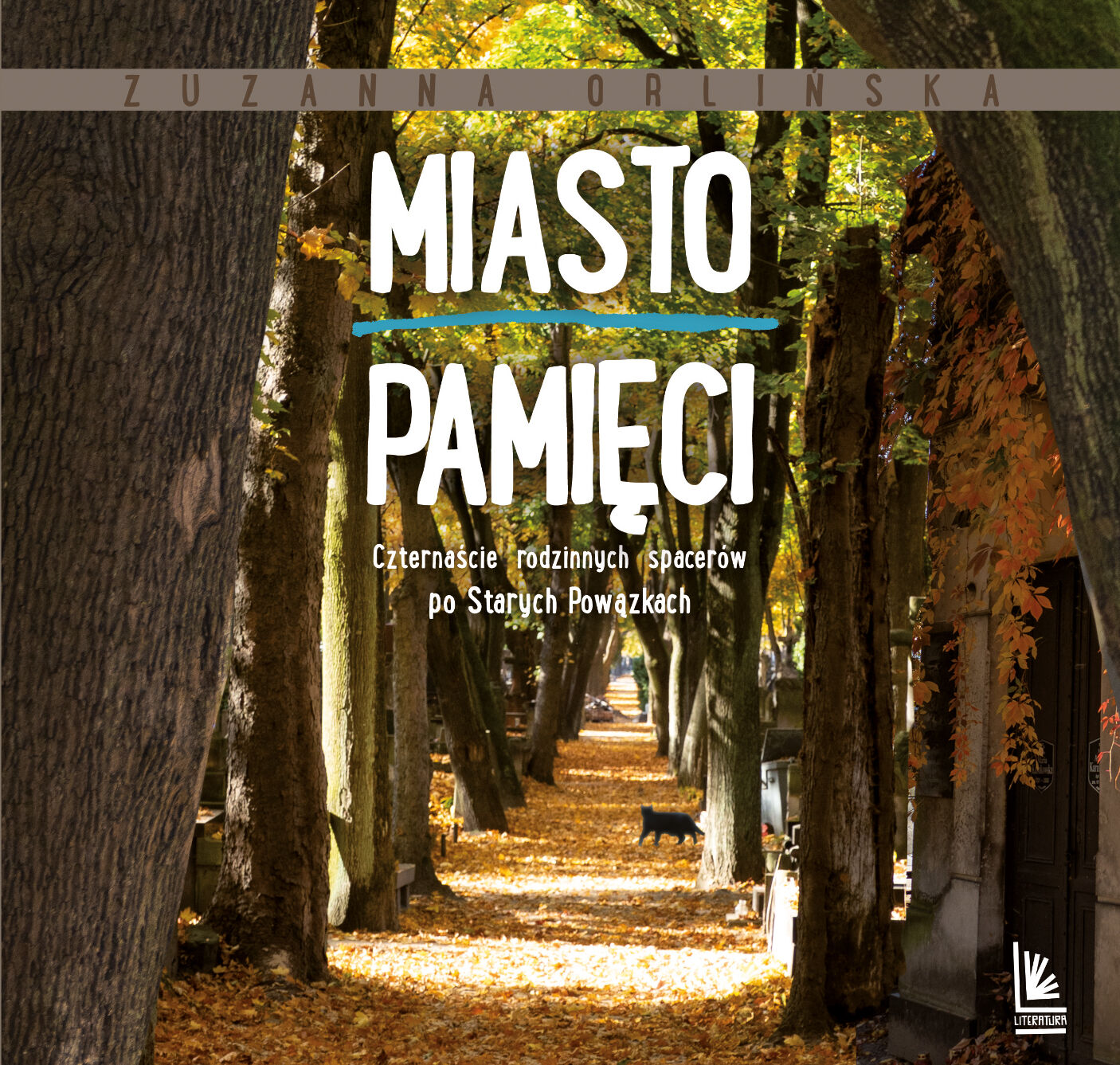 Miasto pamięci (e-book)