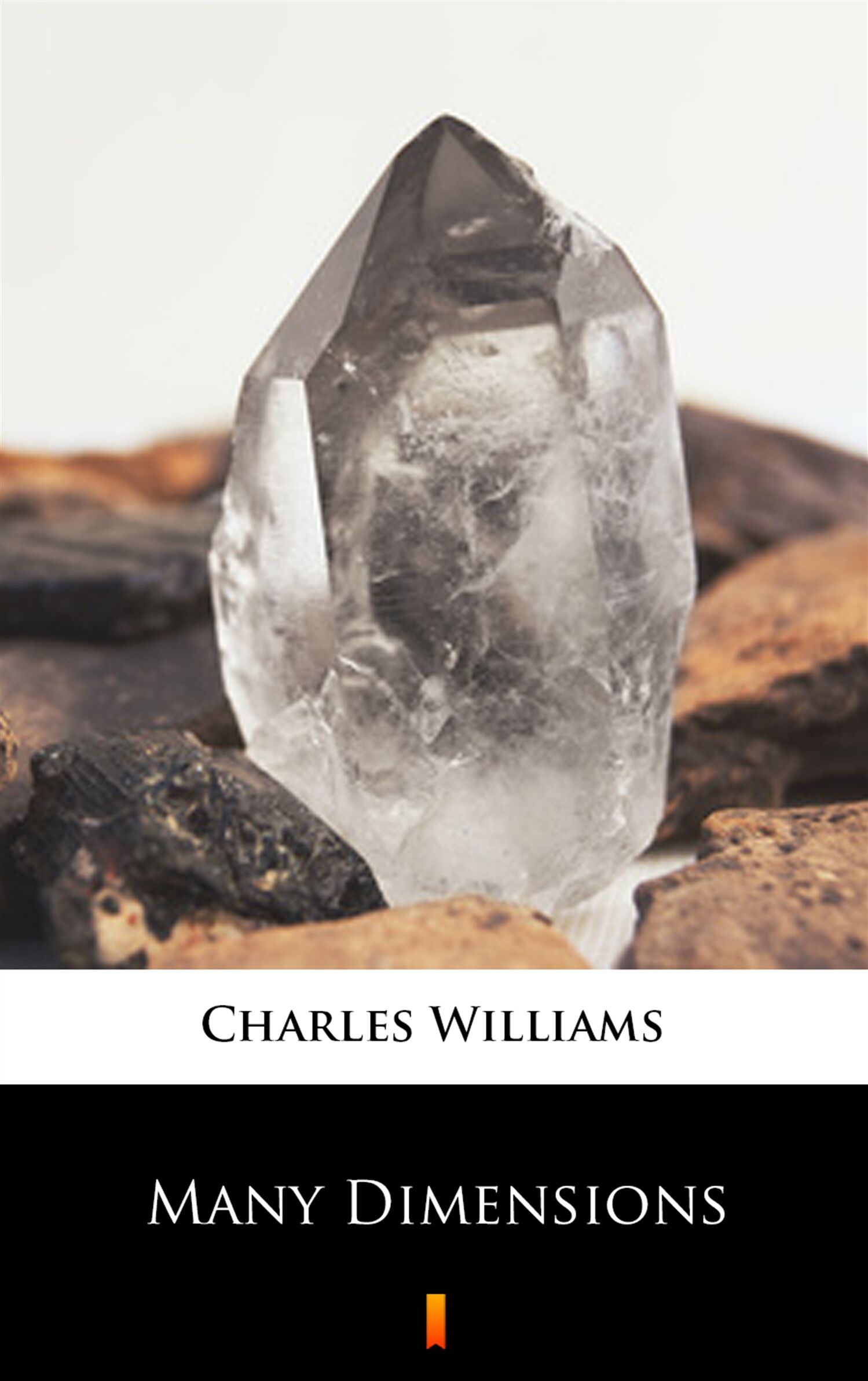 Many Dimensions (e-book)
