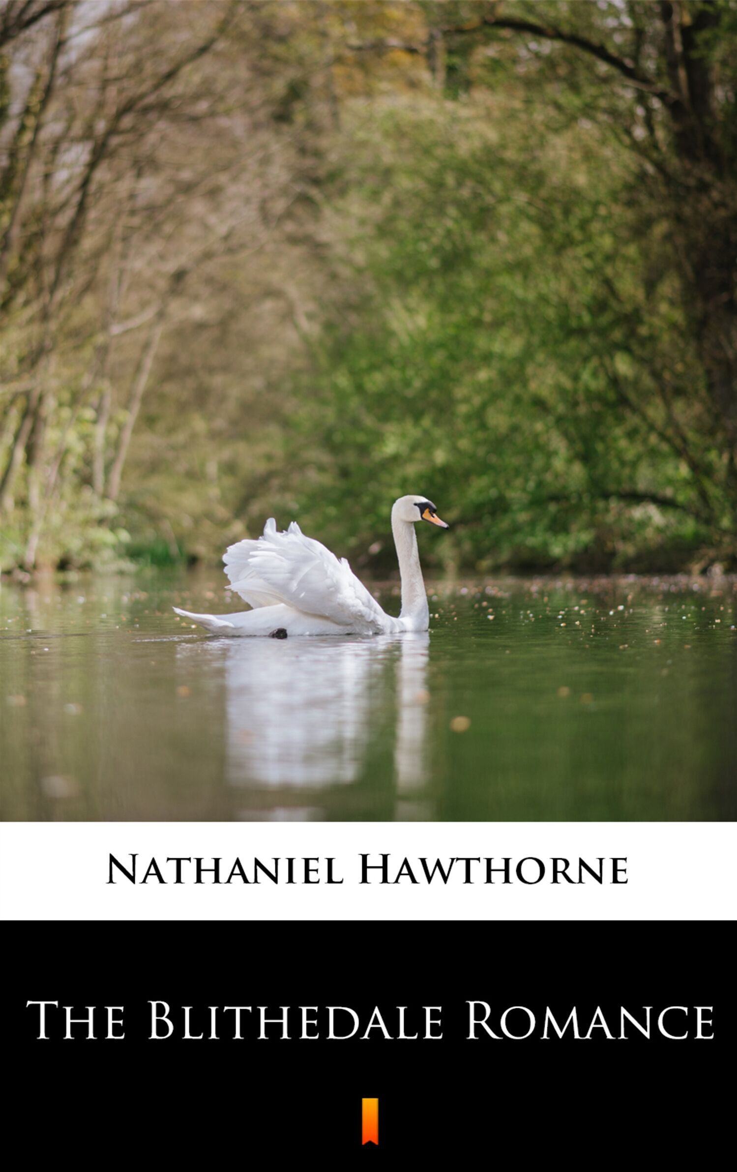 The Blithedale Romance (e-book)