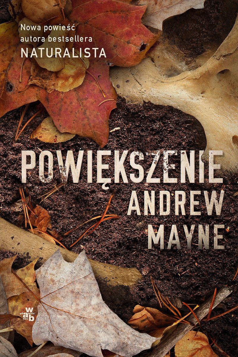 Powiększenie