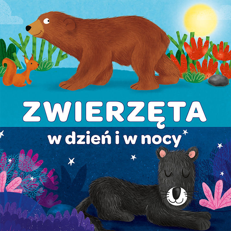 Kapitan Nauka. Harmonijka Zwierzęta w dzień i w nocy
