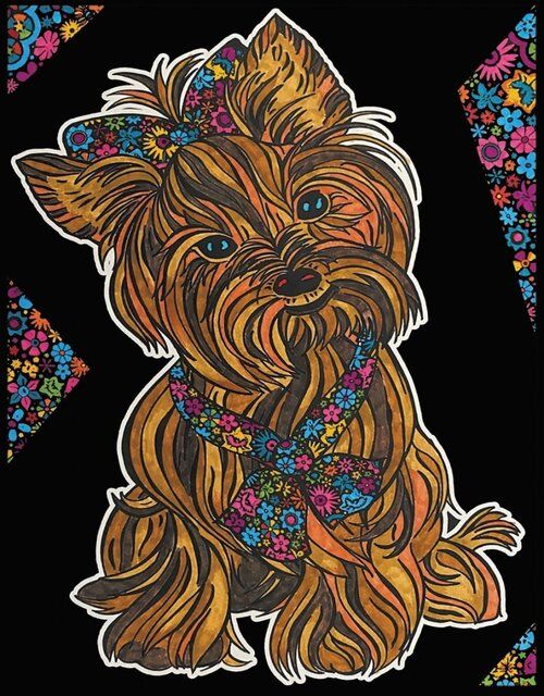 Kolorowanka Welwetowa Colorvelvet 47x35 cm Yorkshire Terrier + 12 flamastrów Carioca