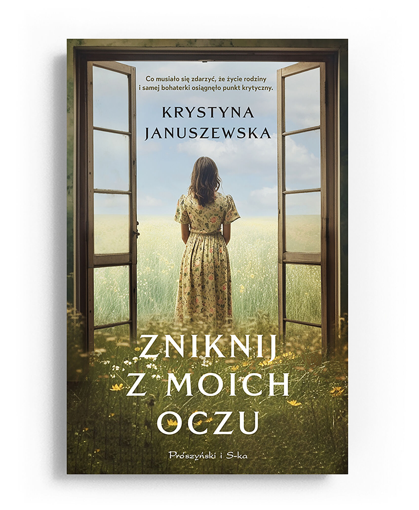 Zniknij z moich oczu (e-book)