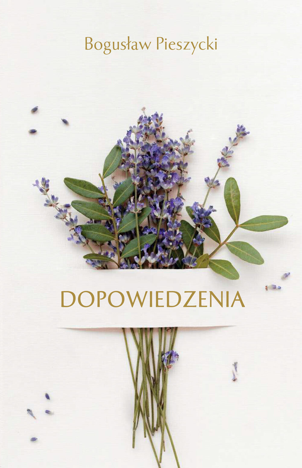 Dopowiedzenia (e-book)