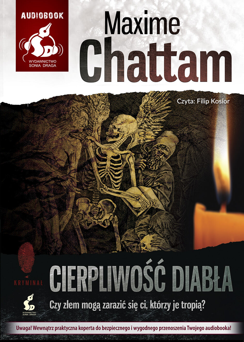 Cierpliwość diabła (audiobook CD)