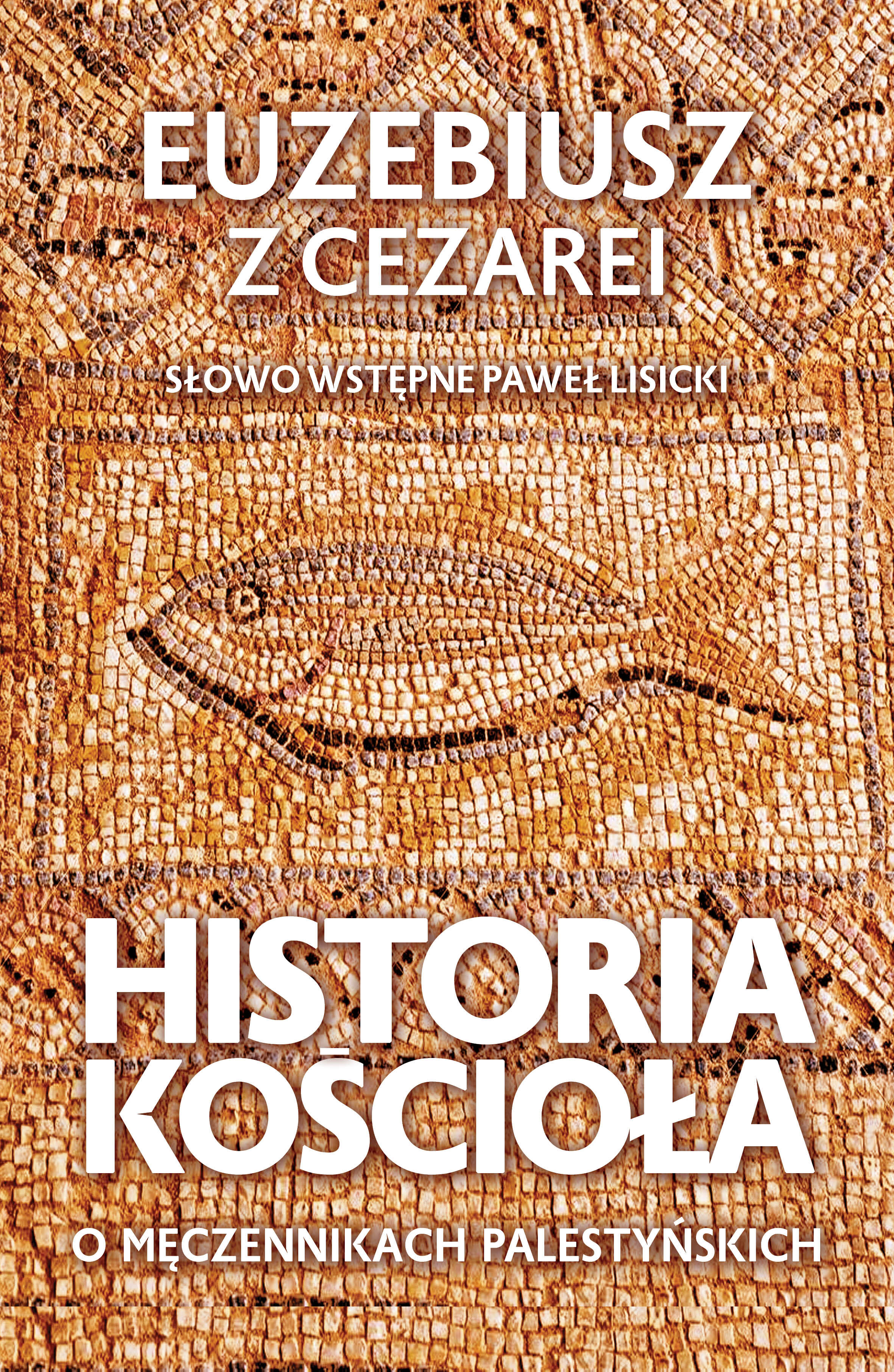 Historia Kościoła (e-book)