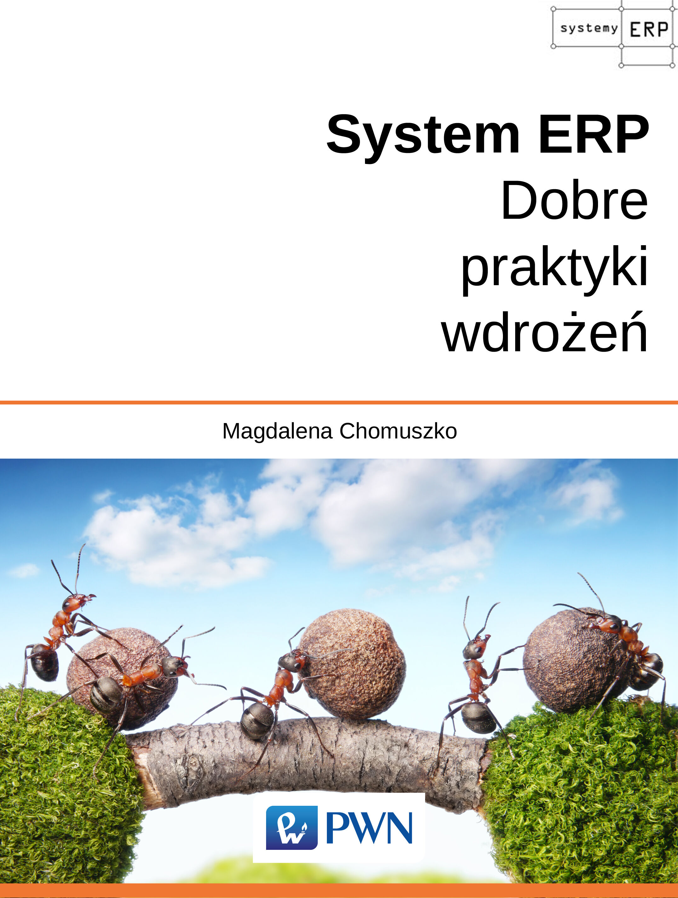 System ERP – dobre praktyki wdrożeń
