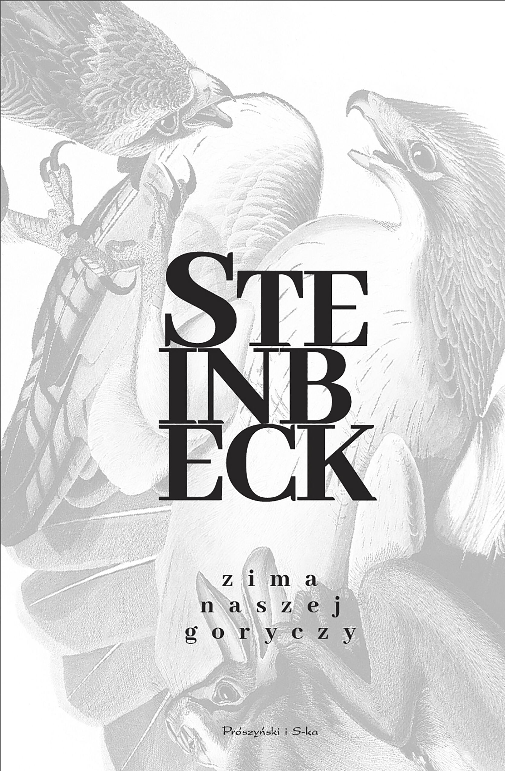 Zima Naszej Goryczy (e-book)