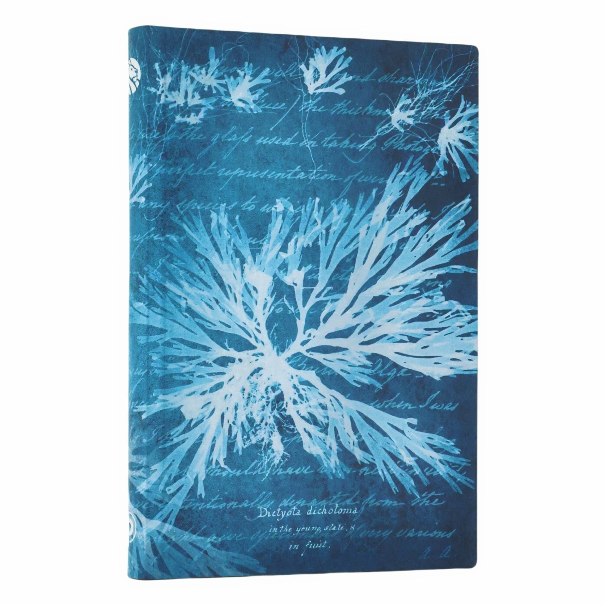 Notatnik Sea Flowers Mini linia
