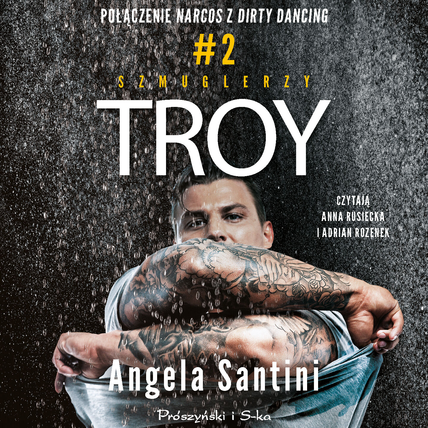 Troy (audiobook MP3)