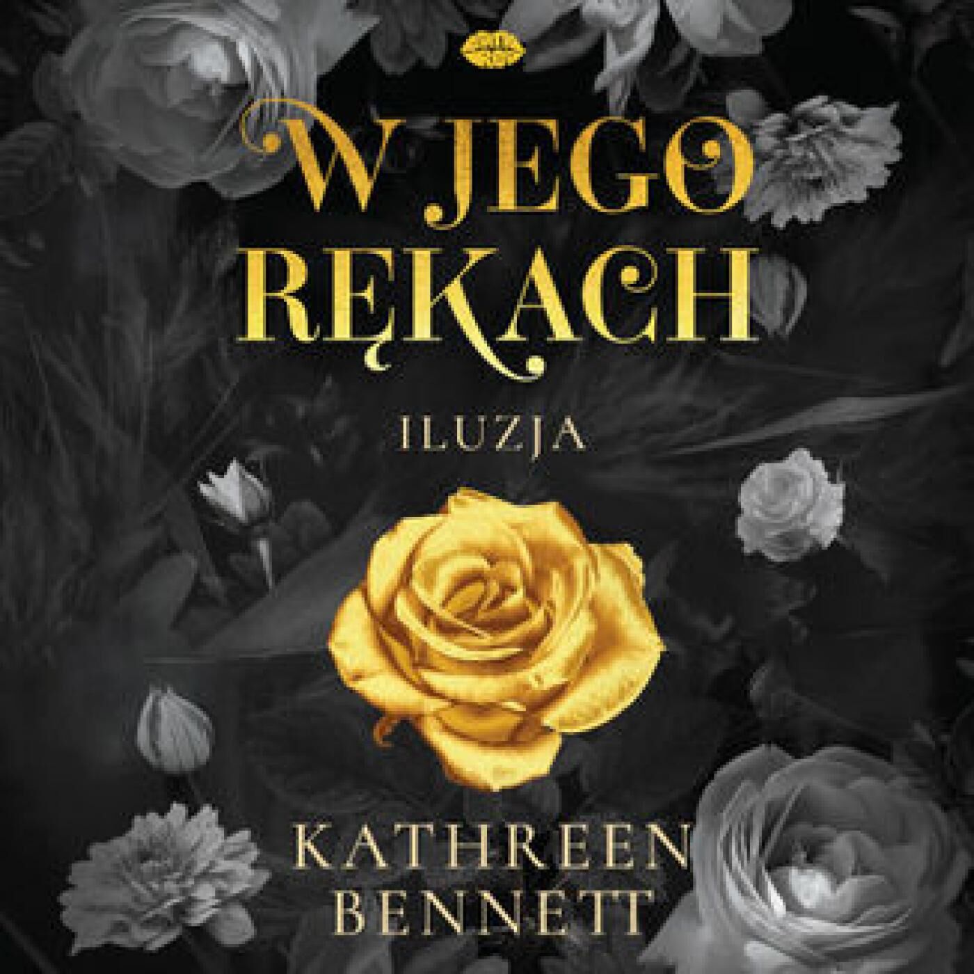 W jego rękach. Iluzja (audiobook MP3)