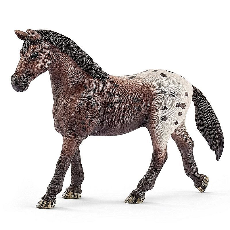 Klacz rasy appaloosa horse club slh13861