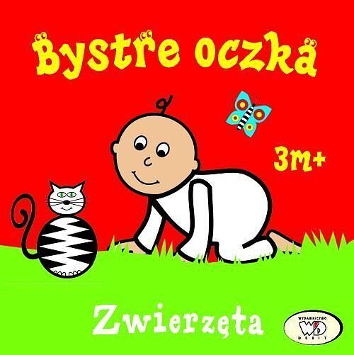 Bystre oczka. Zwierzęta
