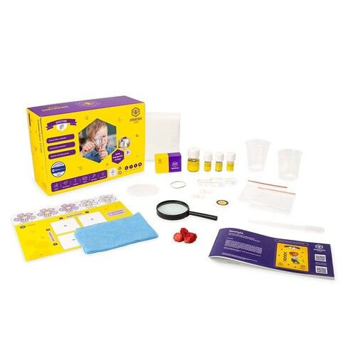 Smartbee Club- zestaw Genetyka