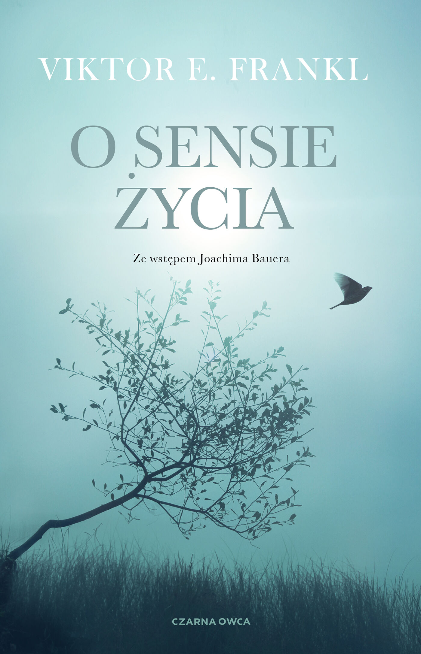 O sensie życia (e-book)
