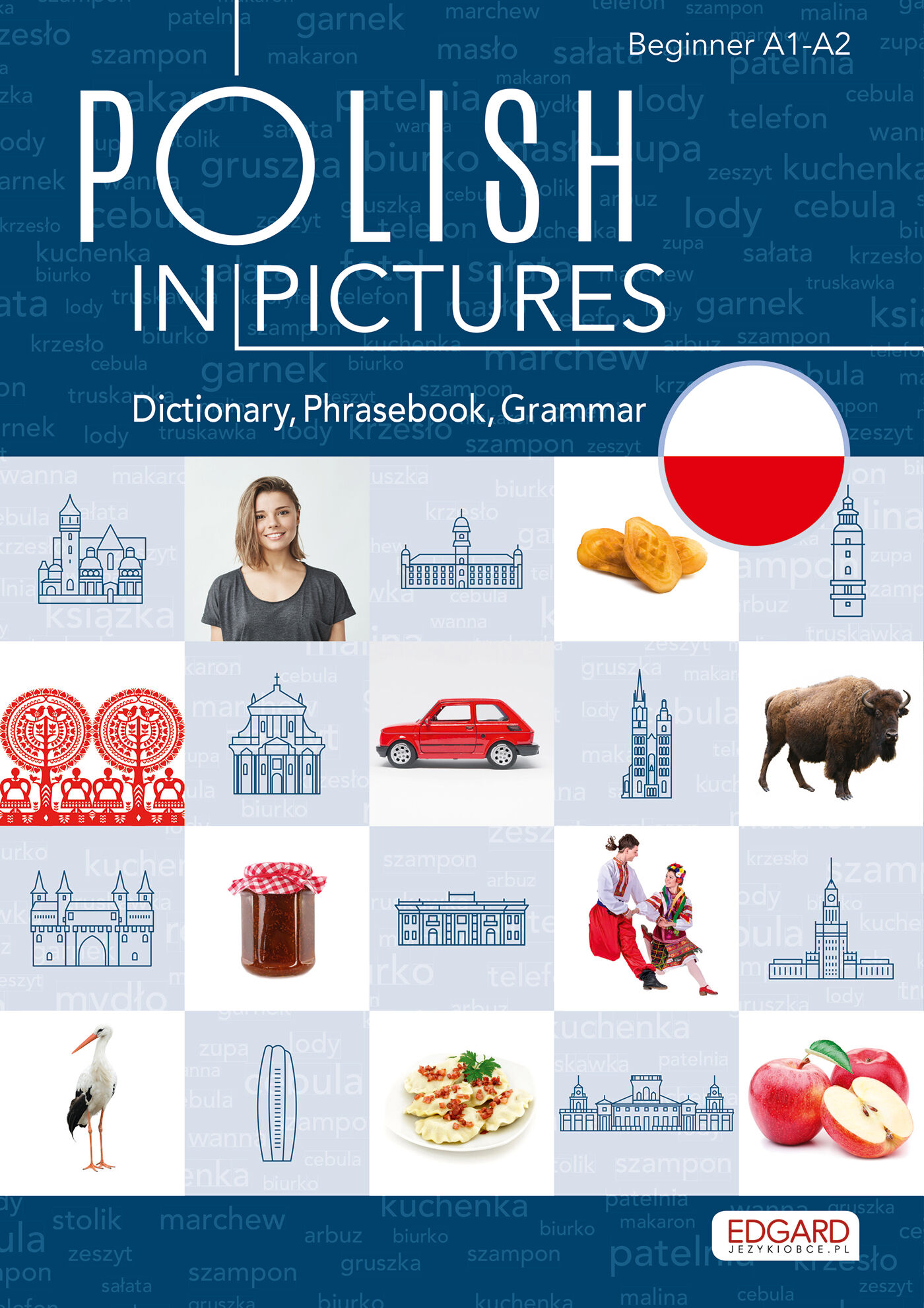 Polish in pictures/Polski w obrazkach. Słówka, rozmówki, gramatyka