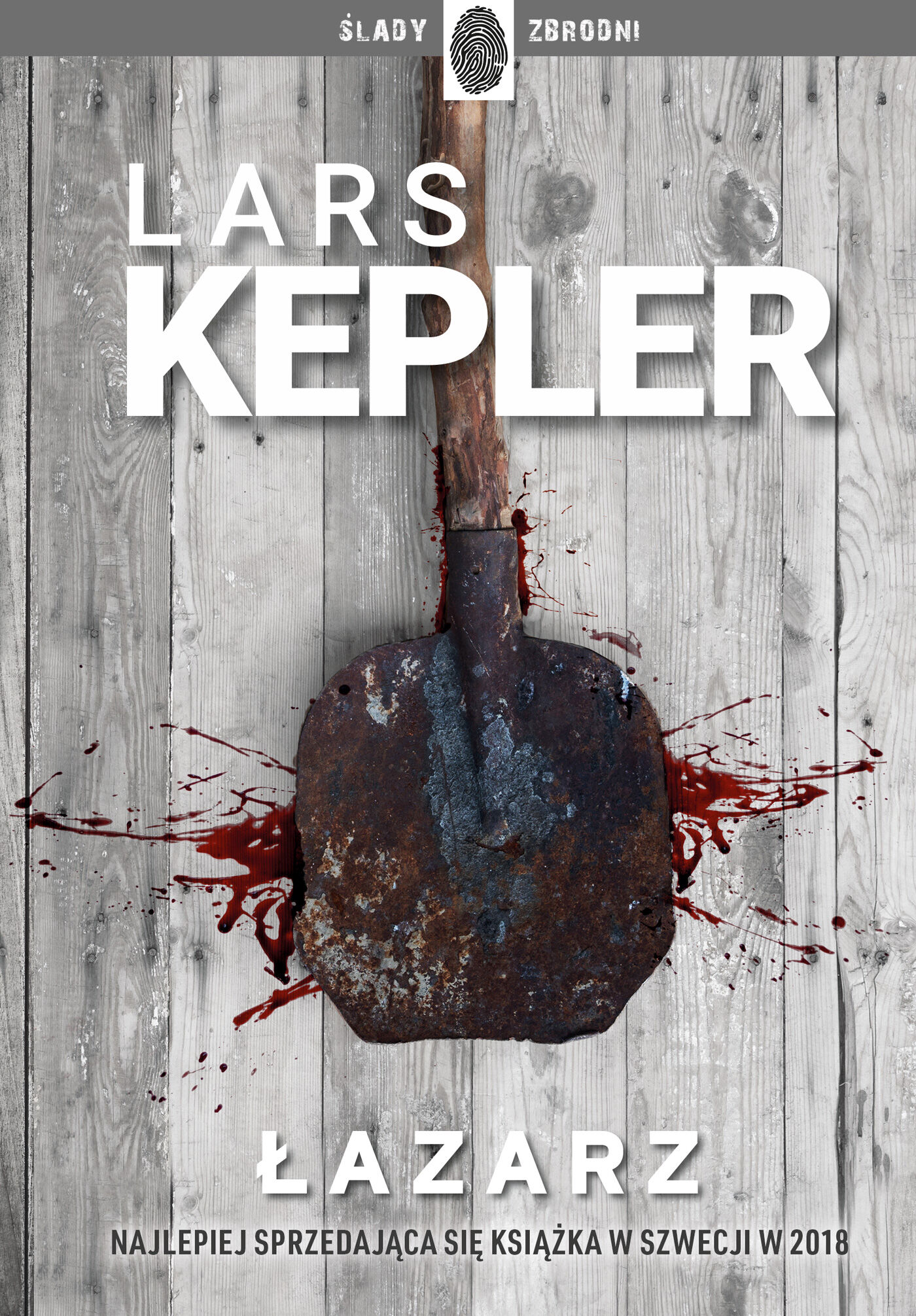 Łazarz (e-book)