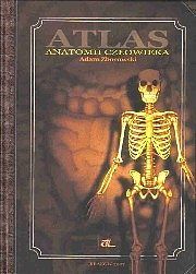 Atlas anatomii człowieka