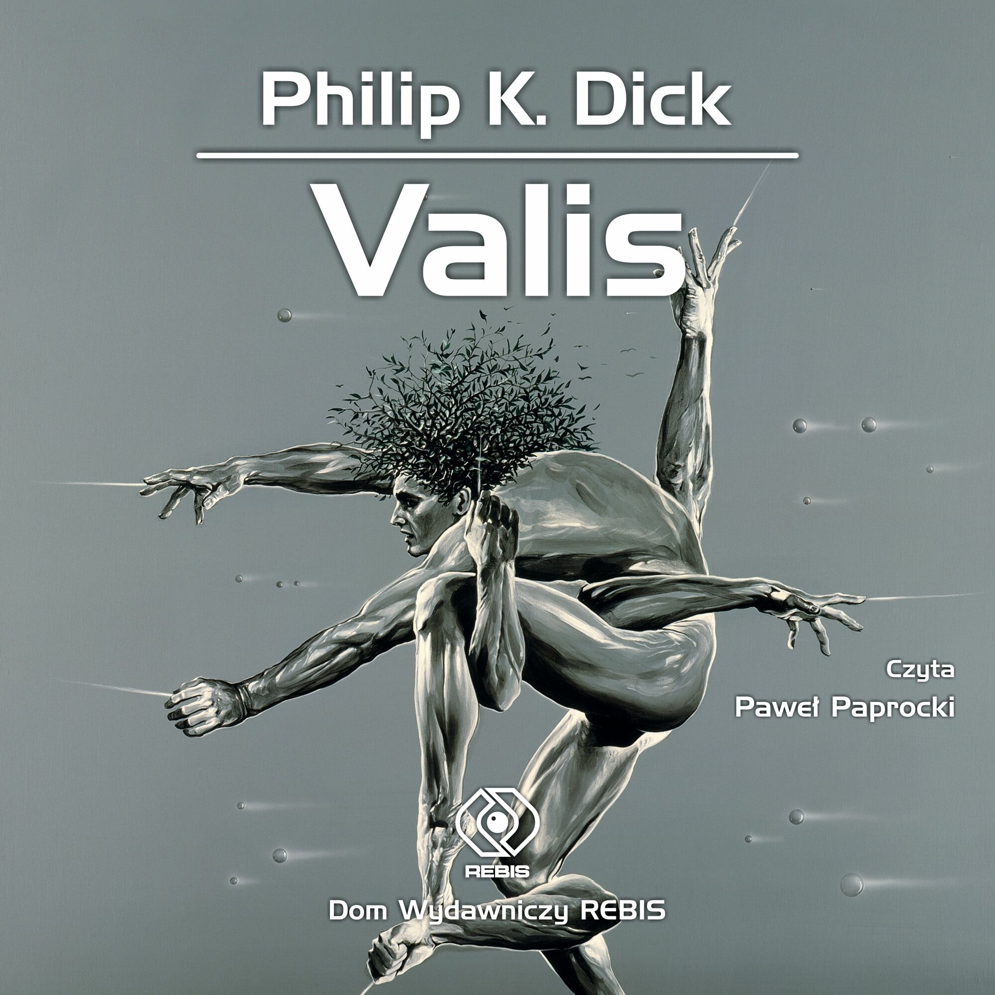 Valis (audiobook MP3)