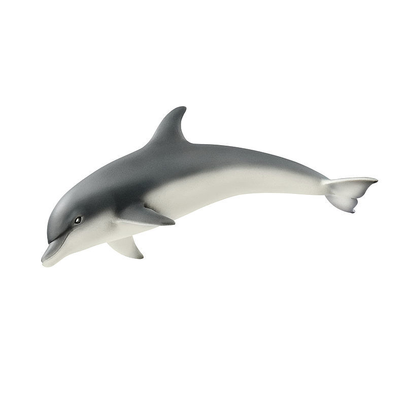 Delfin slh14808